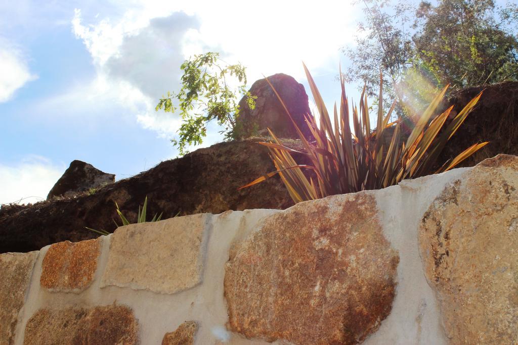 Villa Lugar Do Pego ตอนเดลา ภายนอก รูปภาพ