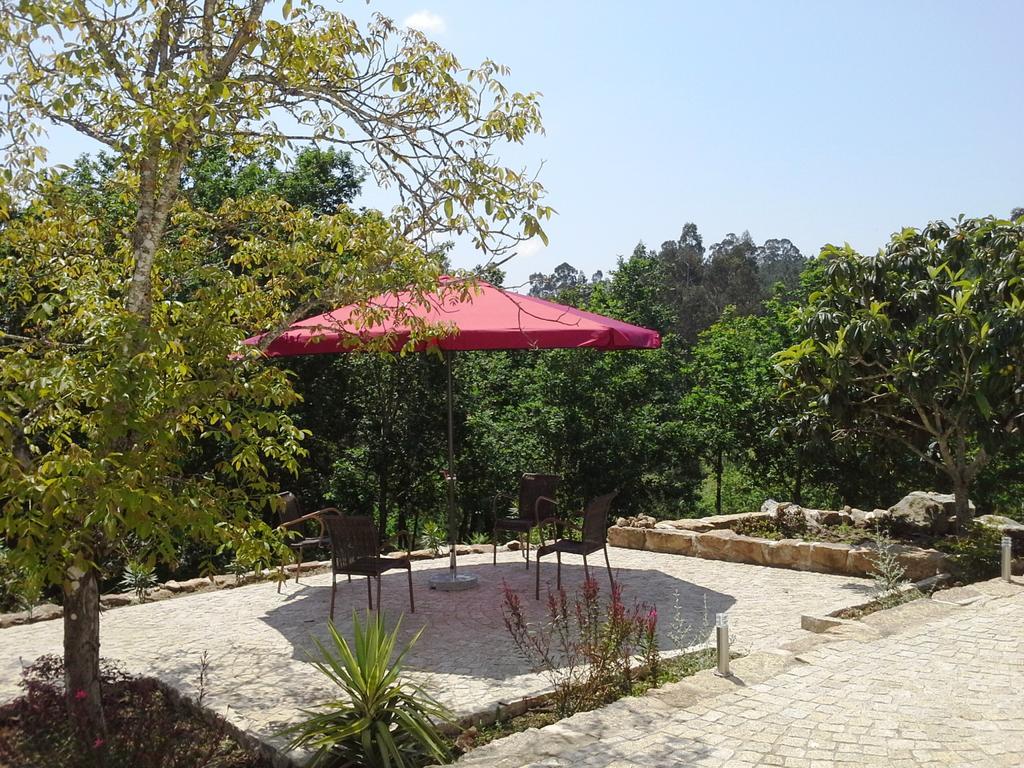 Villa Lugar Do Pego ตอนเดลา ภายนอก รูปภาพ